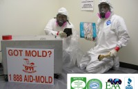 mold redediation