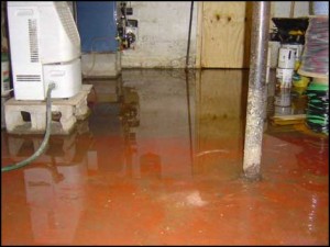 Basement Flooding Restoration Beaverton