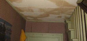 Mold Growth and Water Damage On Ceiling