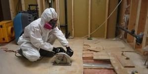 Water Damage Restoration & Mold Removal In Process