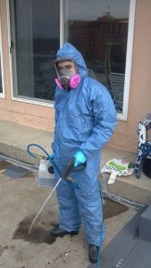 911 Restoration Mold Removal Portland