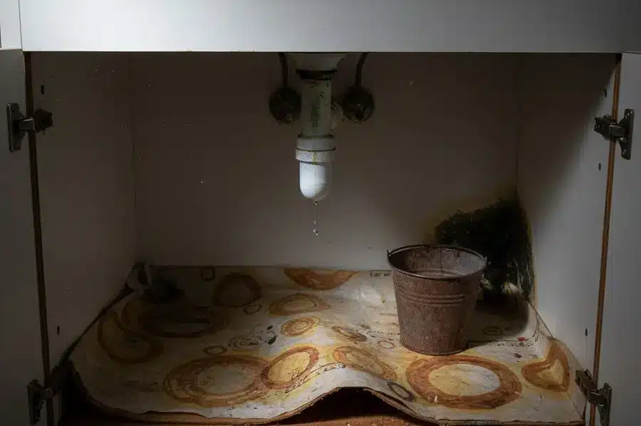 Does Homeowners Insurance Cover Water Damage in Portland?