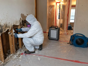 Mold Remediation